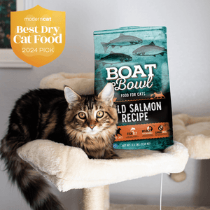 Best dry cat food of 2024 Boat to Bowl cat food