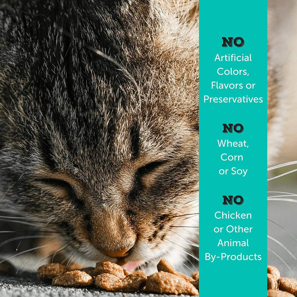 No artificial colors, flavors, preservatives; no wheat, corn or soy; no chicken or other animal by-products