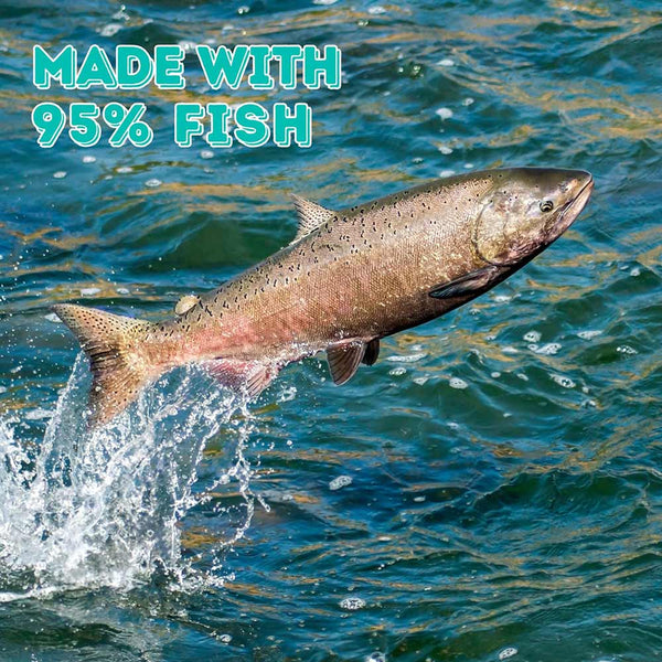 Cod & Trout Food Topper - Boat to Bowl Pet Food