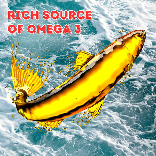 Boat to Bowl Salmon Pate Wet Cat Food is a Rich Source of Omega 3