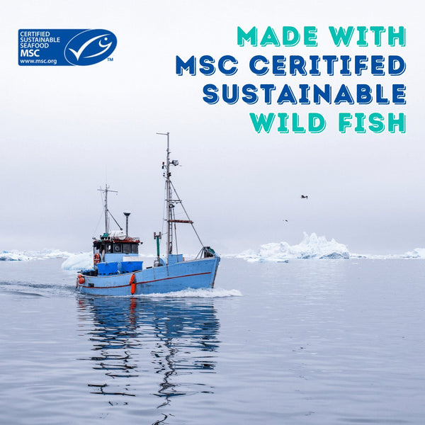 Wild Cod & Haddock Recipe - Boat to Bowl Pet Food