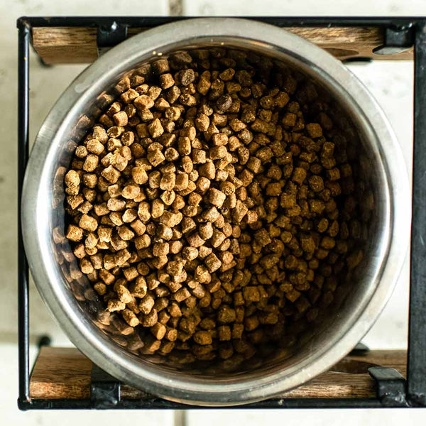 Wild Cod & Haddock Recipe - Boat to Bowl Pet Food