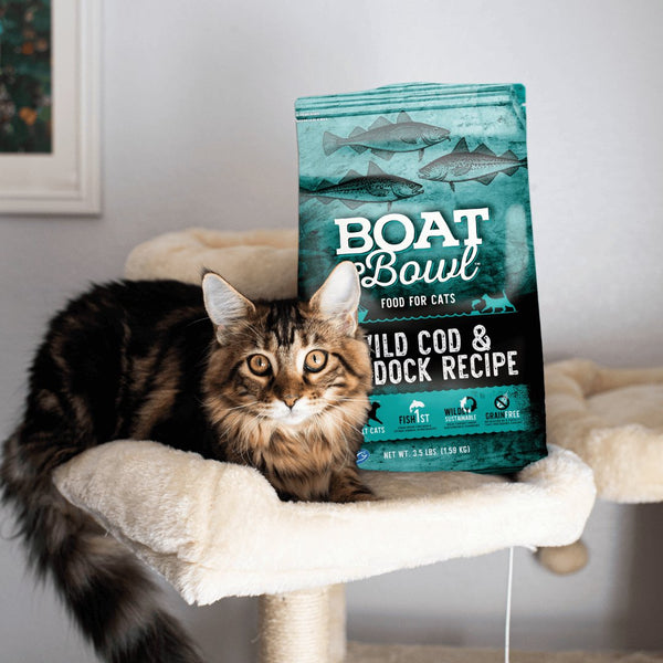Wild Cod & Haddock Recipe - Boat to Bowl Pet Food