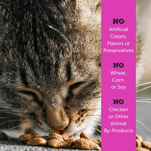No artificial colors, flavors or preservatives. No wheat, corn or soy. No chicken or other animal by-products