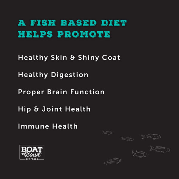 Benefits of a fish based diet for cats