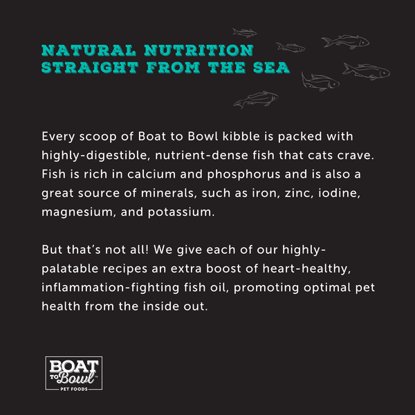 Wild Cod & Haddock Recipe - Boat to Bowl Pet Food