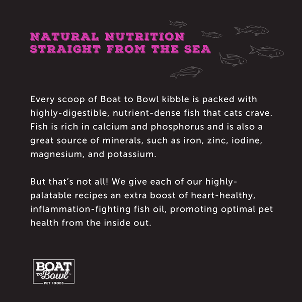 Wild Seafood Recipe - Boat to Bowl Pet Food