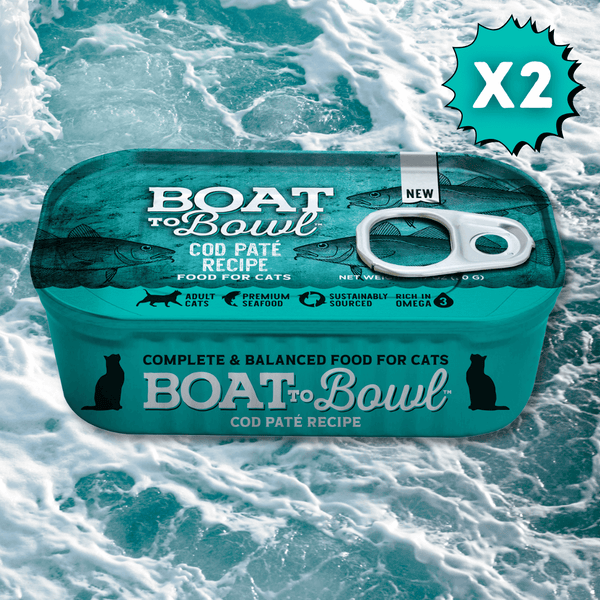 Cod Pate Wet Cat Food (2 - Pack) - Boat to Bowl Pet Food