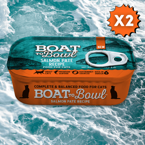 Salmon Paté Wet Cat Food (2 Pack) - Boat to Bowl Pet Food