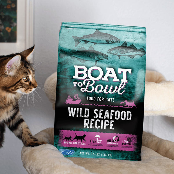 Wild Seafood Recipe - Dry Cat Food for All Life Stages - Boat to Bowl Pet Food