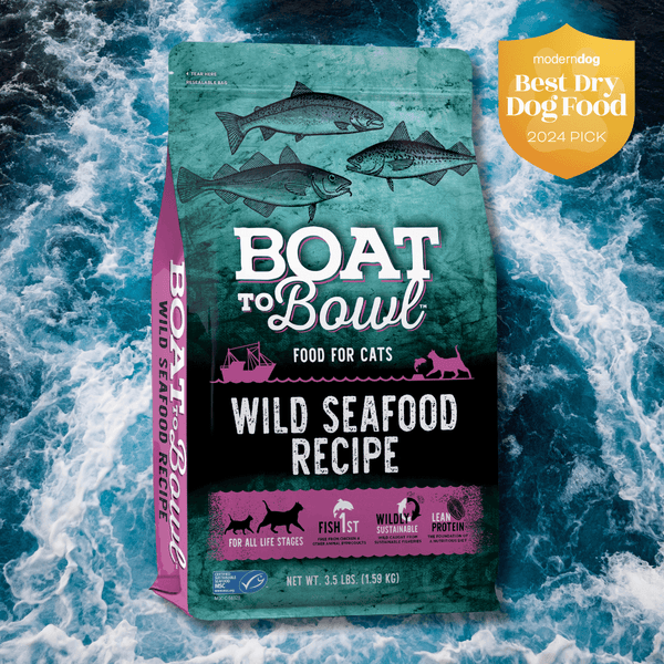 Wild Seafood Recipe - Dry Cat Food for All Life Stages - Boat to Bowl Pet Food