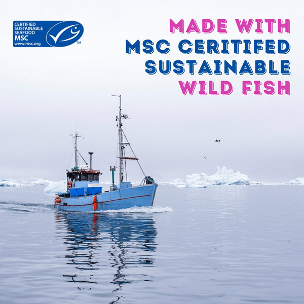 Wild Seafood Recipe - Dry Cat Food for All Life Stages - Boat to Bowl Pet Food
